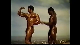 4465 gay black porn videos